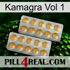 Kamagra Vol 1 levitra2